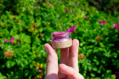 Hibiscus + Beet Lip Tint - DEBBIEG.