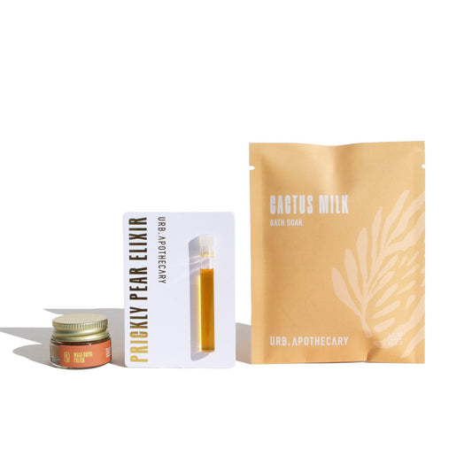 Cactus Bundle - DEBBIEG.